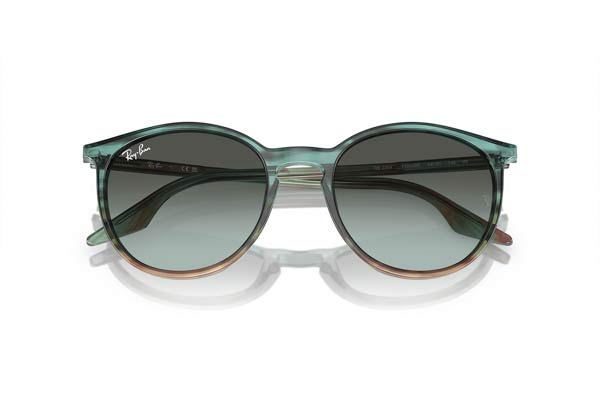 RAYBAN 2204 Occhiali da Sole 