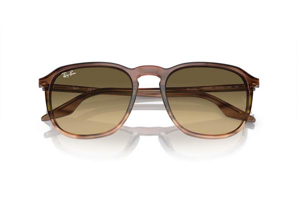 RAYBAN 2203 Occhiali da Sole 