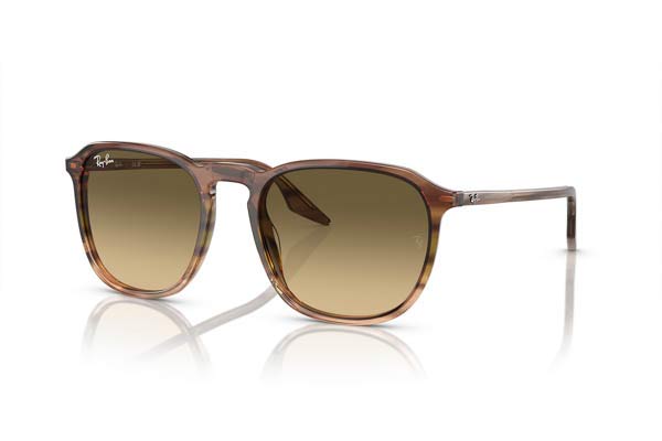 RAYBAN 2203 Occhiali da Sole 