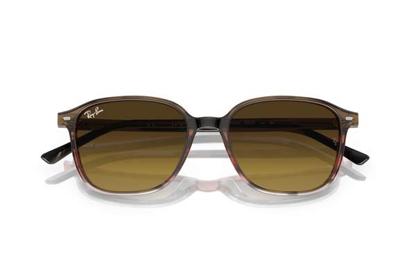 RAYBAN 2193 LEONARD Occhiali da Sole 