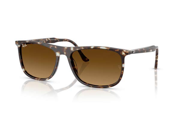 RAYBAN 2216 Occhiali da Sole 
