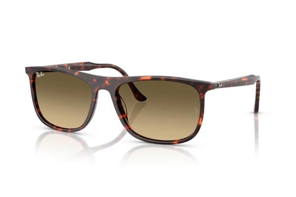 RAYBAN 2216 Occhiali da Sole 