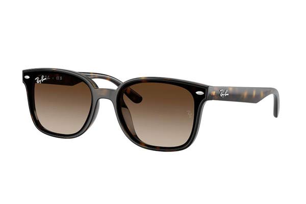 rayban 4461D Occhiali da Sole 