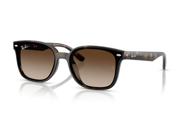 RAYBAN 4461D Occhiali da Sole 