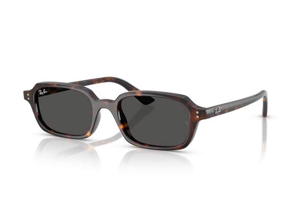 RAYBAN 4455 ZURI Occhiali da Sole 