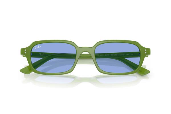 RAYBAN 4455 ZURI Occhiali da Sole 