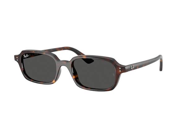 rayban 4455 ZURI Occhiali da Sole 