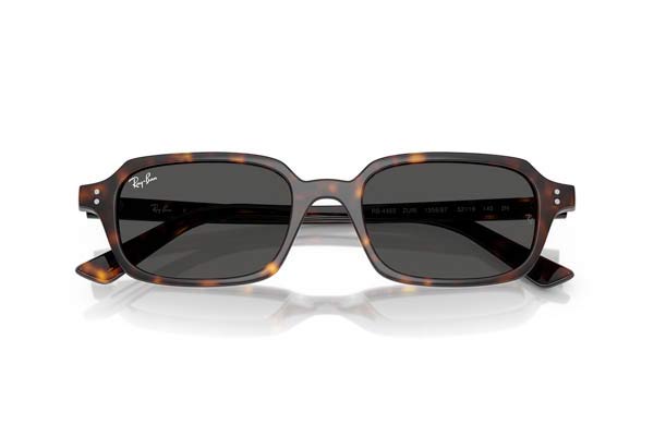 RAYBAN 4455 ZURI Occhiali da Sole 