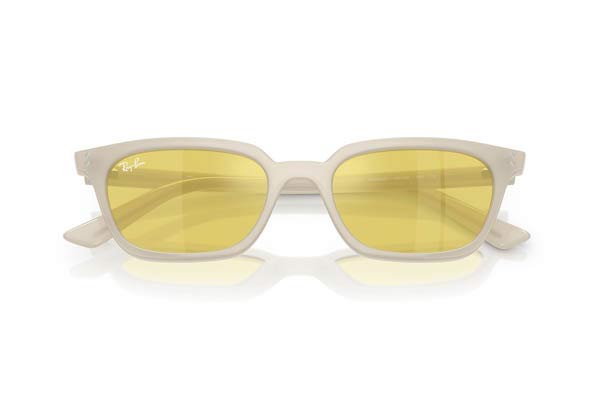 RAYBAN 4456 ZAYA Occhiali da Sole 