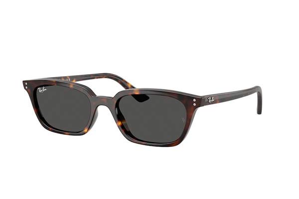 rayban 4456 ZAYA Occhiali da Sole 