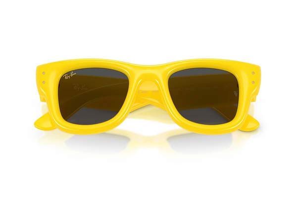 RAYBAN 4940 Wayfarer puffer Occhiali da Sole 