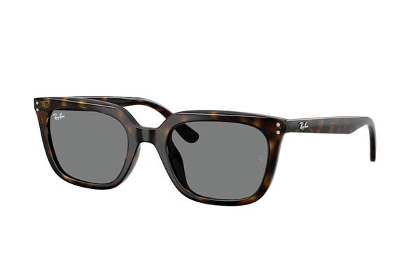 rayban 4439D Occhiali da Sole 