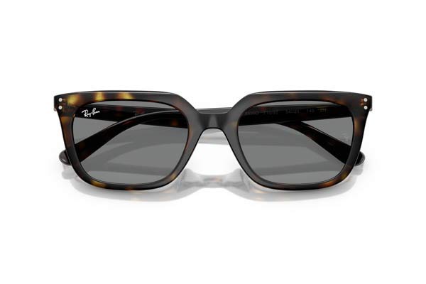 RAYBAN 4439D Occhiali da Sole 