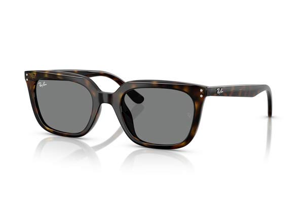 RAYBAN 4439D Occhiali da Sole 