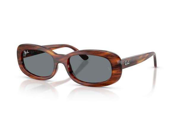RAYBAN 2221 Occhiali da Sole 