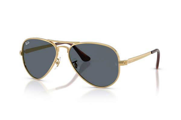 RAYBAN 3925 AVIATOR MAX Occhiali da Sole 