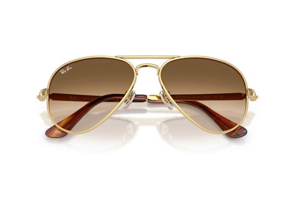 RAYBAN 3925 AVIATOR MAX Occhiali da Sole 