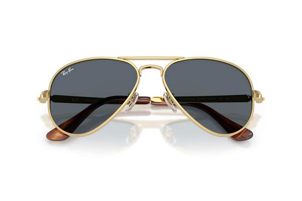 RAYBAN 3925 AVIATOR MAX Occhiali da Sole 