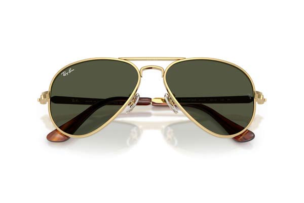 RAYBAN 3925 AVIATOR MAX Occhiali da Sole 