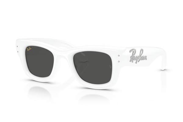 RAYBAN 4940B WAYFARER PUFFER Occhiali da Sole 