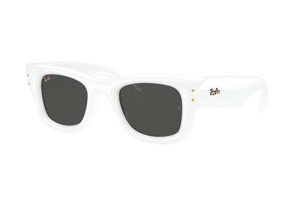rayban 4940 WAYFARER PUFFER Occhiali da Sole 