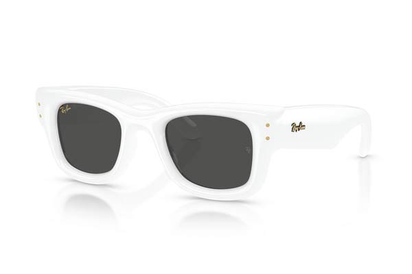 RAYBAN 4940 WAYFARER PUFFER Occhiali da Sole 