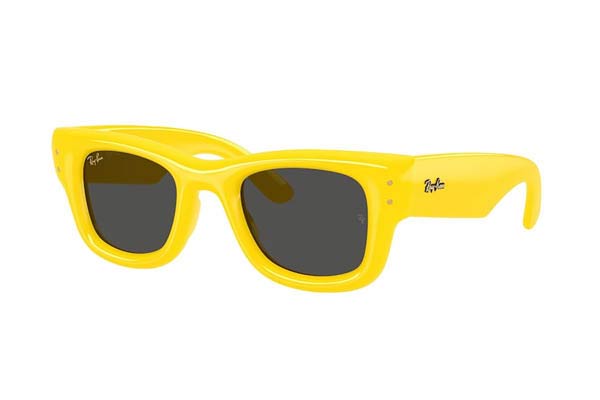 rayban 4940 WAYFARER PUFFER Occhiali da Sole 