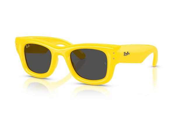 RAYBAN 4940 WAYFARER PUFFER Occhiali da Sole 