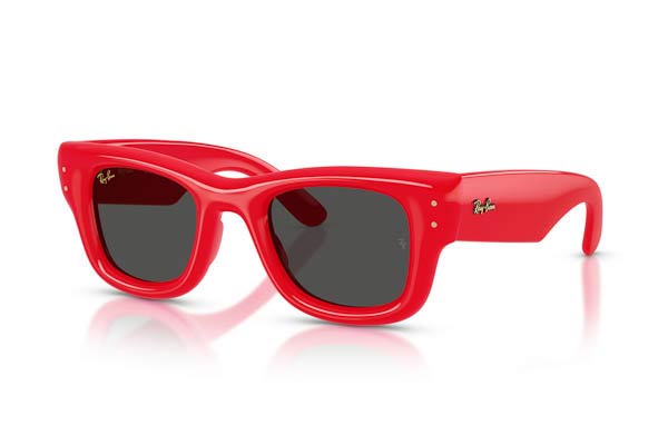 RAYBAN 4940 WAYFARER PUFFER Occhiali da Sole 