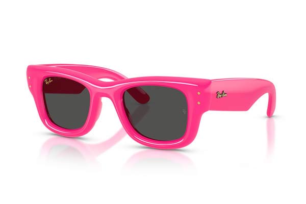 RAYBAN 4940 WAYFARER PUFFER Occhiali da Sole 