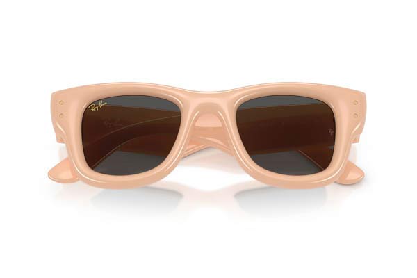RAYBAN 4940 WAYFARER PUFFER Occhiali da Sole 