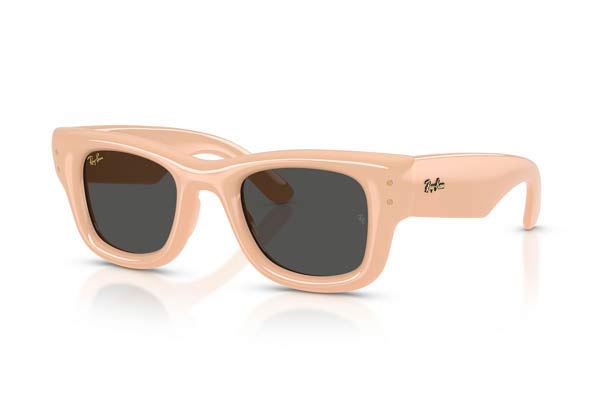 RAYBAN 4940 WAYFARER PUFFER Occhiali da Sole 