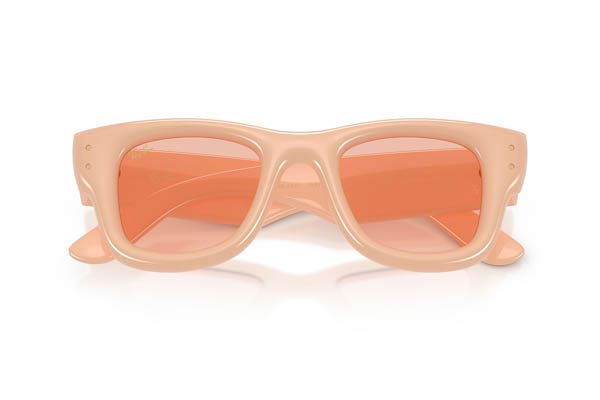 RAYBAN 4940 WAYFARER PUFFER Occhiali da Sole 