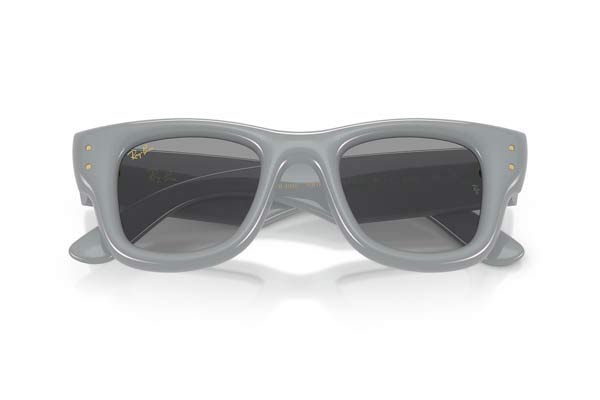 RAYBAN 4940 WAYFARER PUFFER Occhiali da Sole 