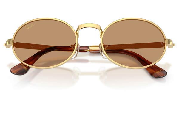 RAYBAN 3931 Occhiali da Sole 