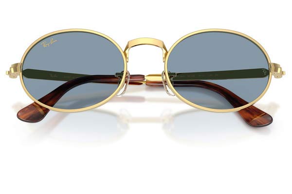 RAYBAN 3931 Occhiali da Sole 