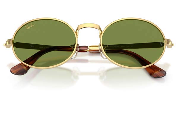 RAYBAN 3931 Occhiali da Sole 