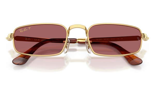 RAYBAN 3927 Occhiali da Sole 