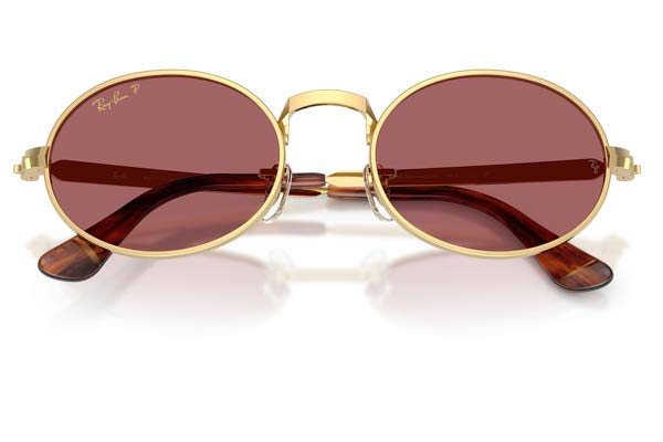 RAYBAN 3931 Occhiali da Sole 