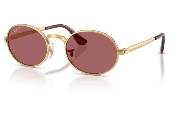RAYBAN 3931 Occhiali da Sole 