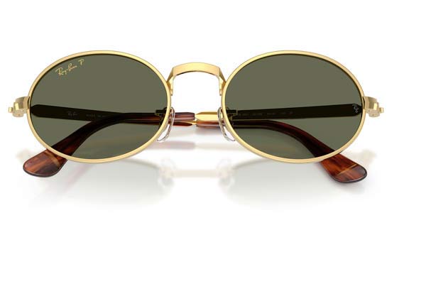 RAYBAN 3931 Occhiali da Sole 