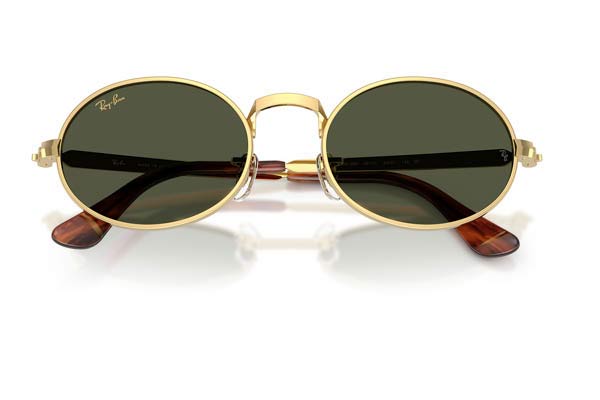 RAYBAN 3931 Occhiali da Sole 