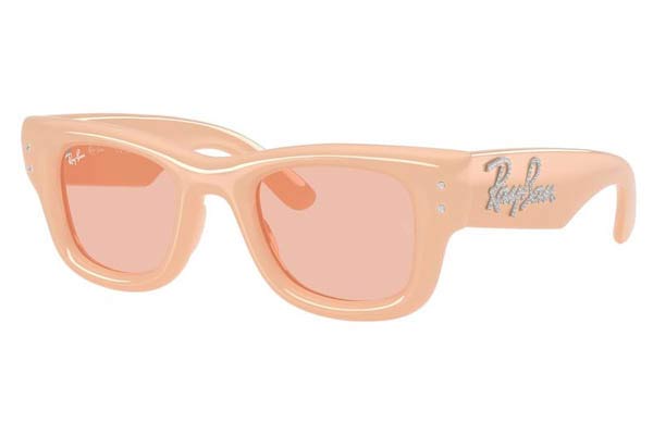rayban 4940B WAYFARER PUFFER Occhiali da Sole 
