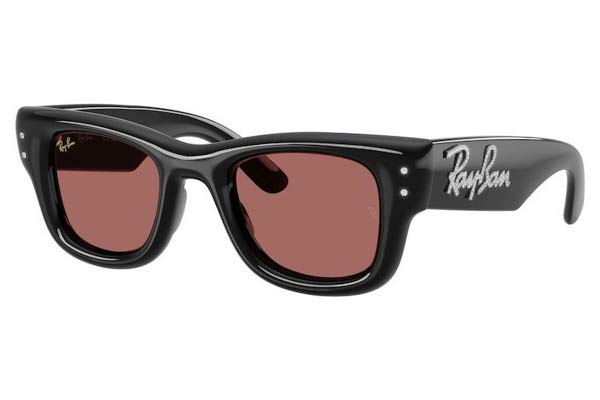 rayban 4940B WAYFARER PUFFER Occhiali da Sole 