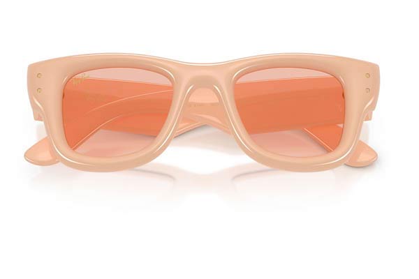 RAYBAN 4940 WAYFARER PUFFER Occhiali da Sole 