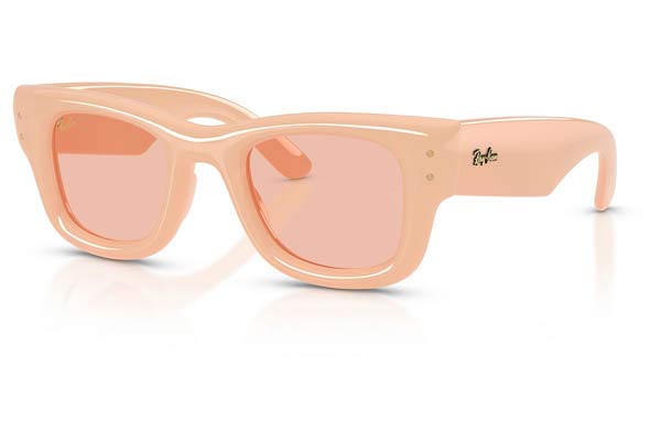 RAYBAN 4940 WAYFARER PUFFER Occhiali da Sole 