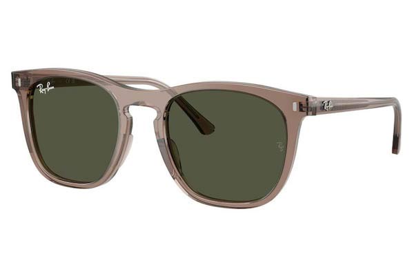 rayban 2210 Occhiali da Sole 