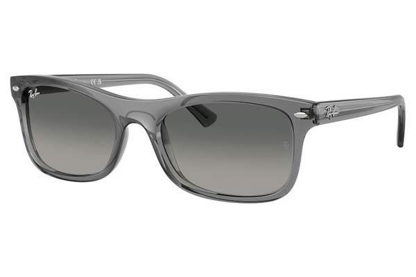 rayban 2226 Occhiali da Sole 
