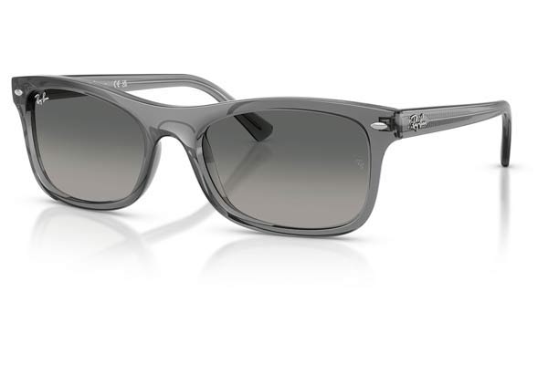 RAYBAN 2226 Occhiali da Sole 