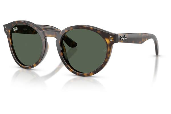 RAYBAN R0505S Occhiali da Sole 